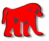 baboon
