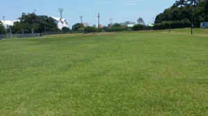 The field